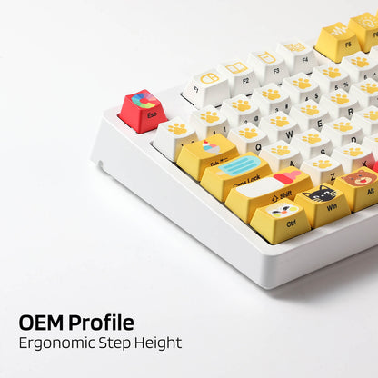(Only Keycaps) Redragon X LTC 108-Key OEM Profile PBT Double Shot Keycaps